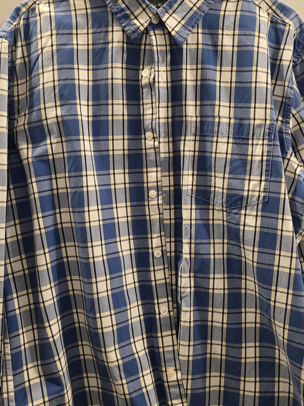 Eddie Bauer Blue and White Plaid Button-Down Shirt